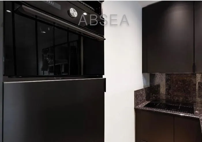 Appartement Nice Absea Belles Terres Studio Nice